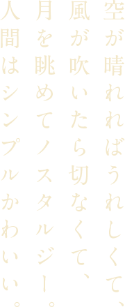 空が晴れればうれしくて、風が吹いたら切なくて、月を眺めてノスタルジー。人間はシンプルかわいい。