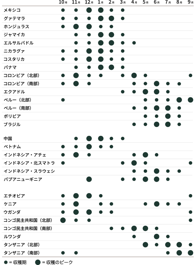 コーヒーの収穫年度が始まる10月以降の生産国ごとの目安となる収穫時期を表した図