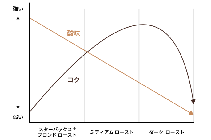 ロースト時間によるコクと酸味の変化を表す簡易グラフ