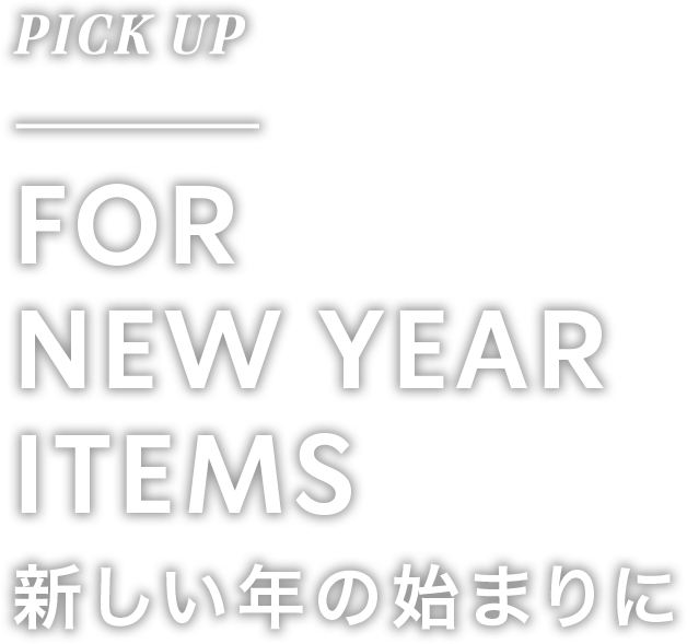 PICK UP FOR HOLIDAY GIFT クリスマスに特別なギフトを