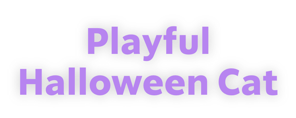 Playful Halloween Cat